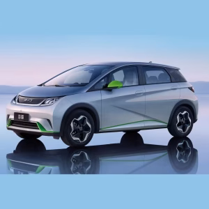 Alfombrilla para BYD Dolphin (2023-2024)